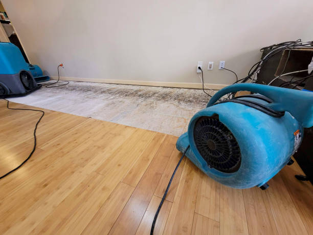 Professional Water Extraction technician working in New Boston, TX